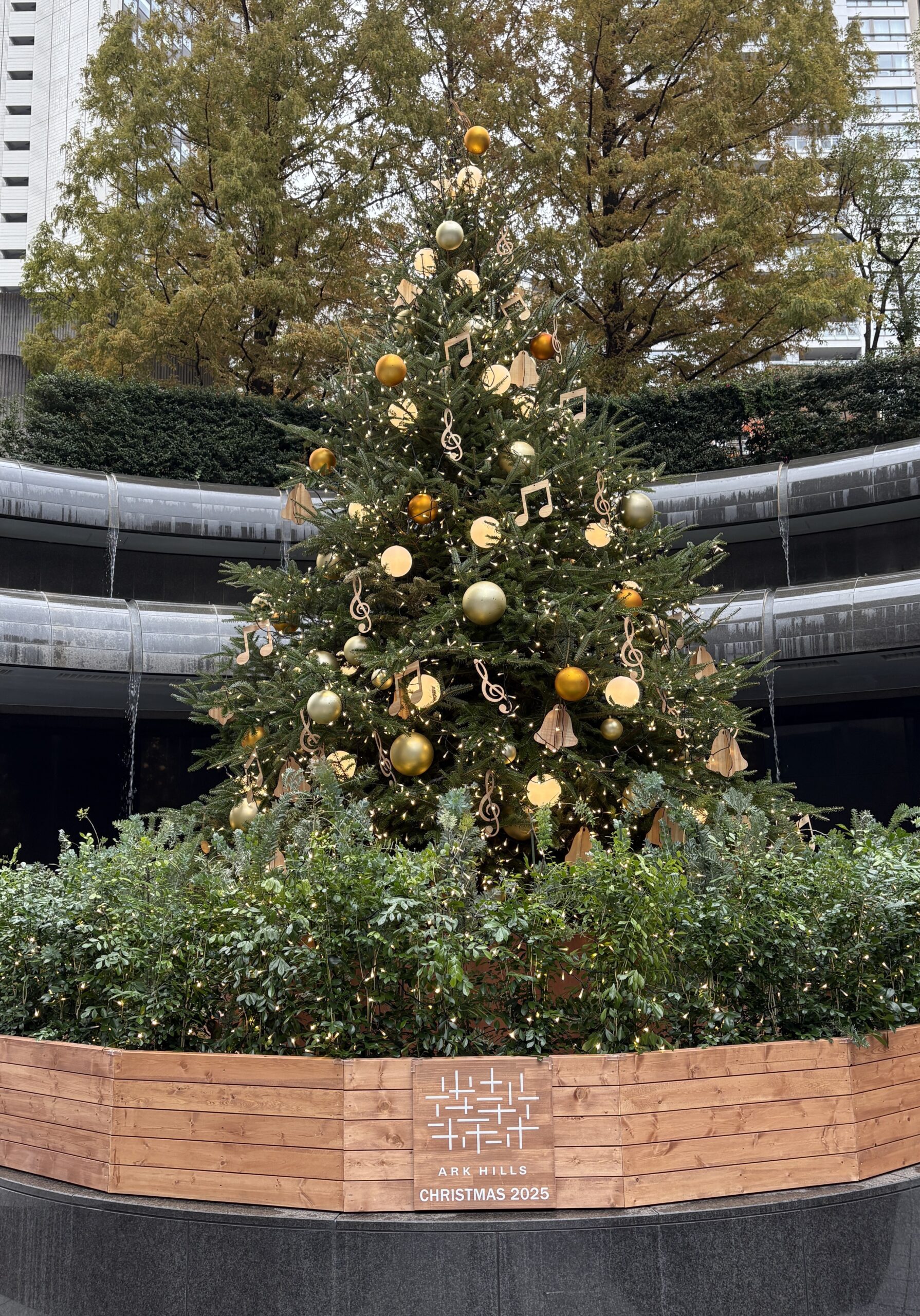 ark hills 2025 クリスマスツリー