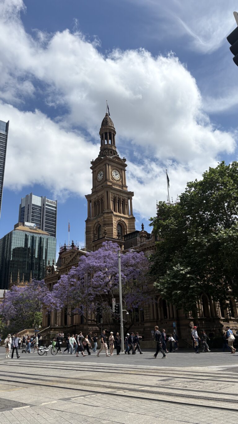 ジャカランダ（Jacaranda）