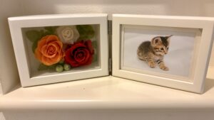 猫ちゃんのフォトフレーム